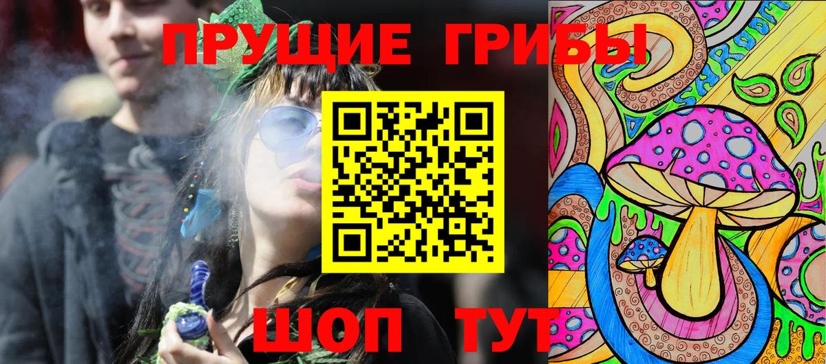 Псилоцибиновые грибы прущие грибы Тимашёвск