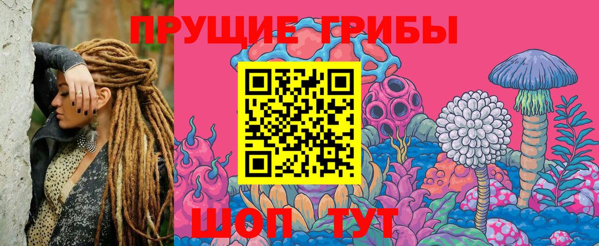 Псилоцибиновые грибы прущие грибы  Вход с VPN  где купить наркоту  Тимашёвск 